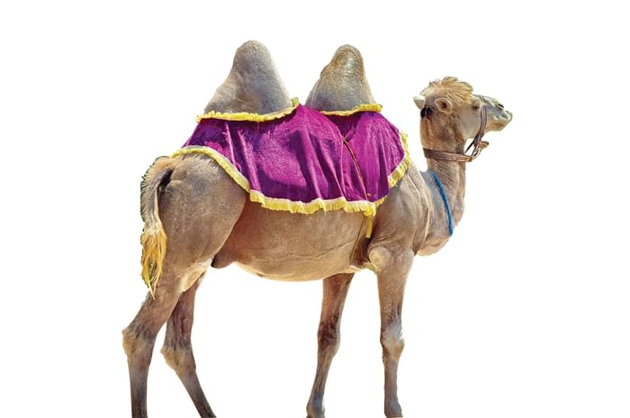 Feature: Uzbekistan Silk Road trip in Chevrolet Equinoxes